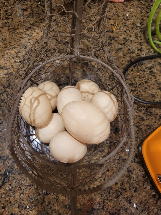 Duck eggs in an egg basket