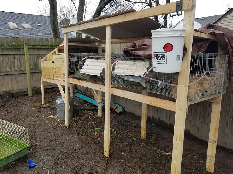 5 gallon rabbit water system with tygon tubing on a multi rabbit hutch