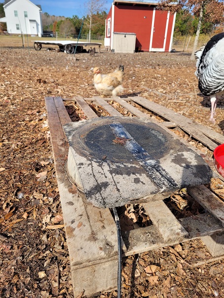 Metal poultry waterer heater base with shingle ontop