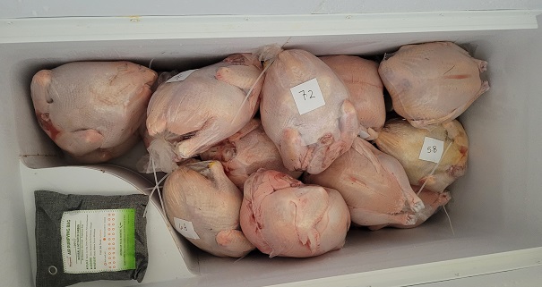 Chest freezer full of frozen chickens