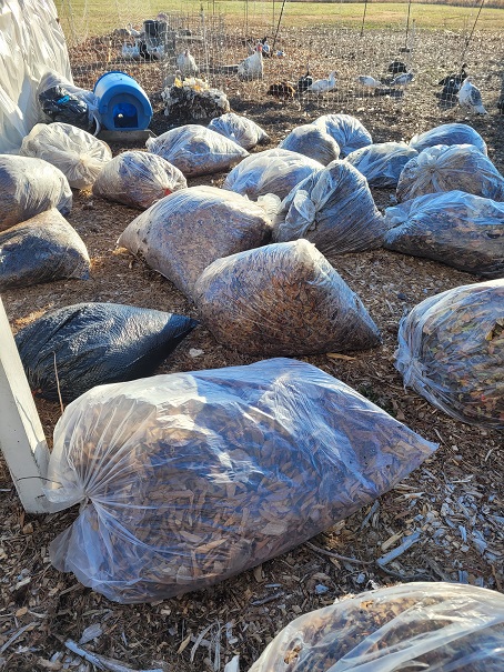 leaves staged in large clear bags