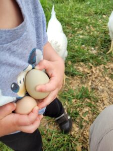 Our son carrying some chicken eggs