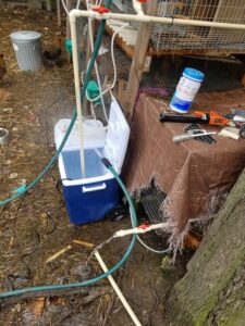 Repurposed cooler plumbed with PVC pipe and a pond pump to create a rabbit water system